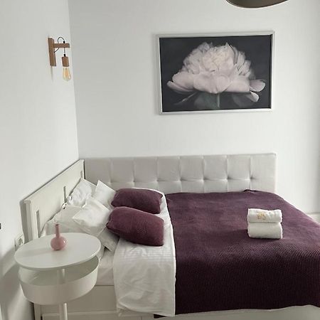 Alma Apartments سوتْشافا المظهر الخارجي الصورة